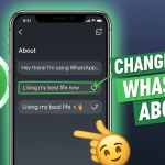 Change Your WhatsApp About